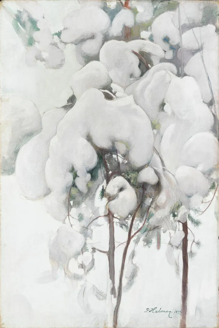 Snow-Covered Pine Saplings, by Pekka Halonen
