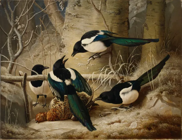Magpies round a Dead Female Capercaillie, by Ferdinand von Wright