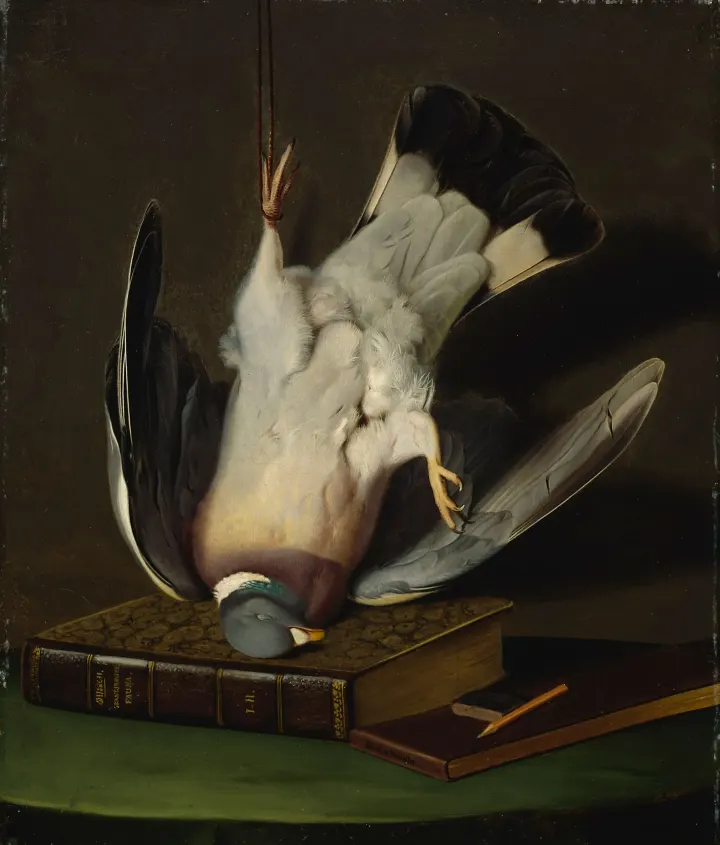 A Dead Wood Pigeon, by Ferdinand von Wright