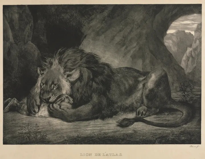 Lion of the Atlas Mountains, by Eugène Delacroix