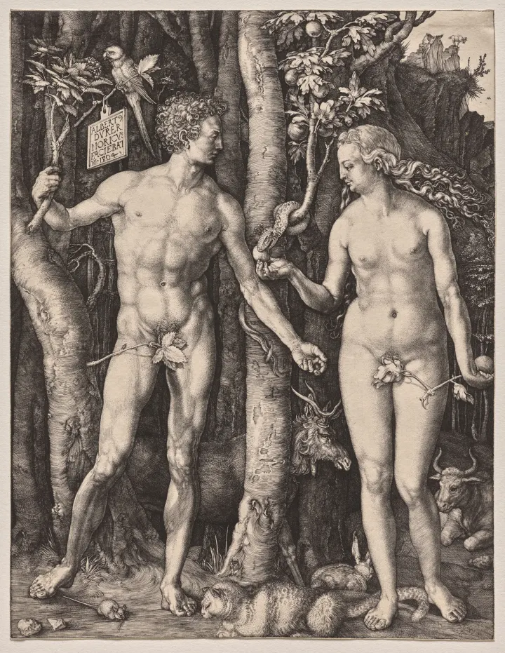 Adam and Eve, by Albrecht Dürer