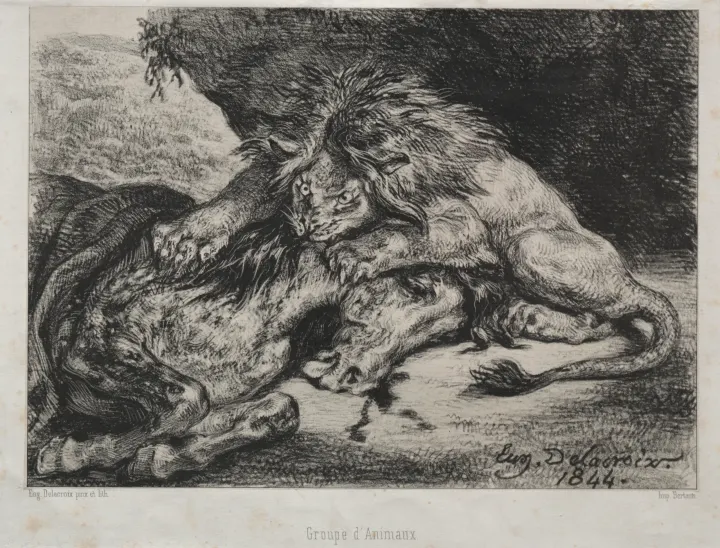 Lion Devouring a Horse, by Eugène Delacroix