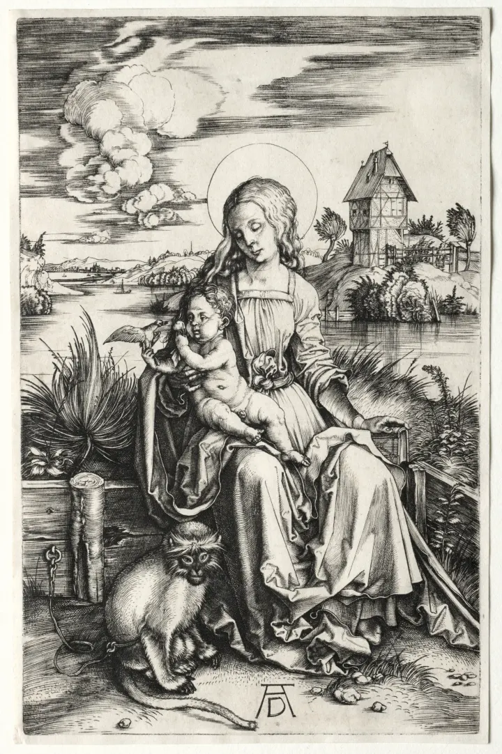 The Virgin and Child with a Monkey, by Albrecht Dürer