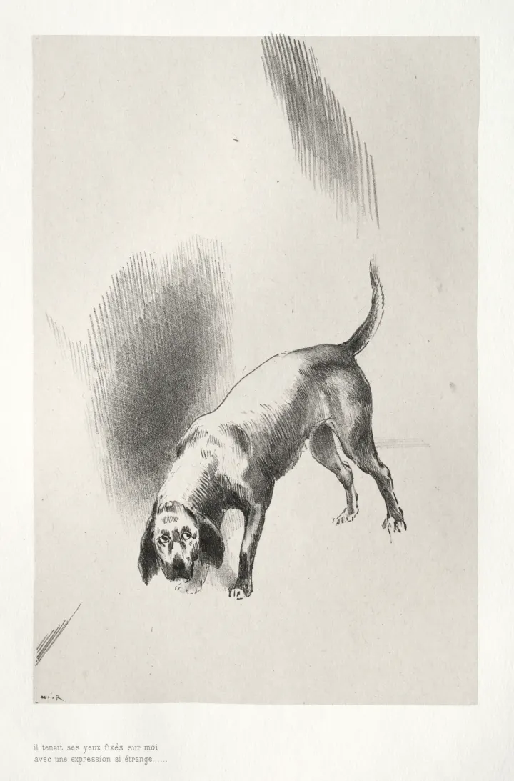 He Fixed His Eyes on Me with an Expression That Was So Strange, by Odilon Redon