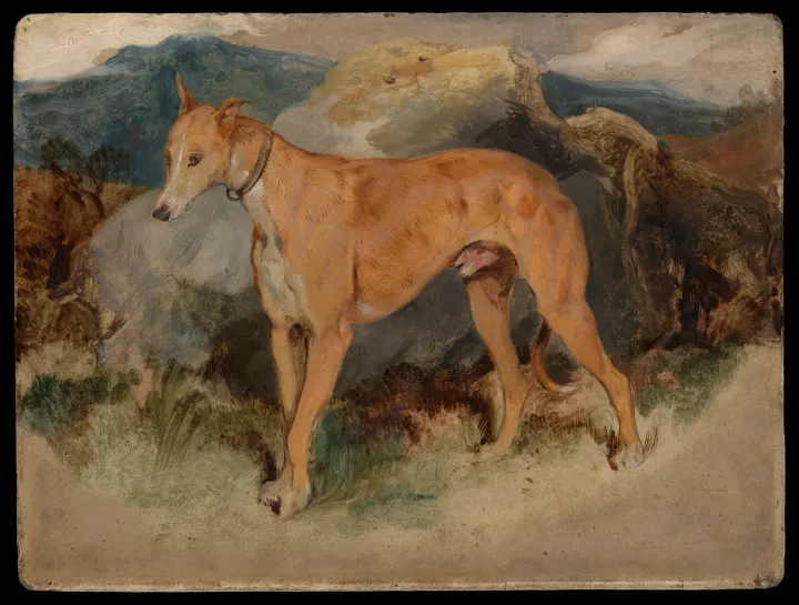 A Deerhound, by Edwin Henry Landseer